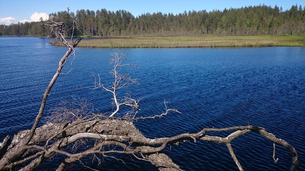 Vakantiehuis Lillstugan I Sverige Villa Gustavsstrom Kültér fotó